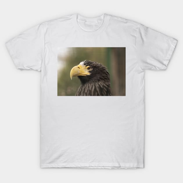 Stellers Sea Eagle T-Shirt by Photomisak72